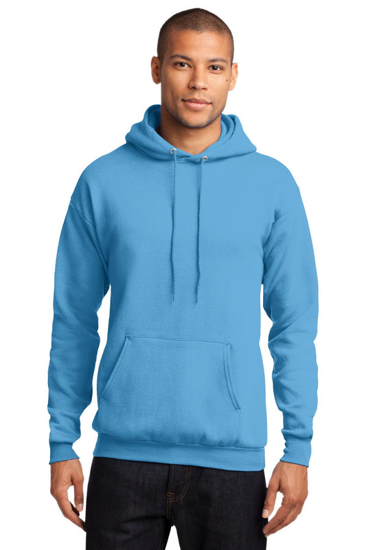 Sweatshirts/Fleece Aquatic Blue Port & Company